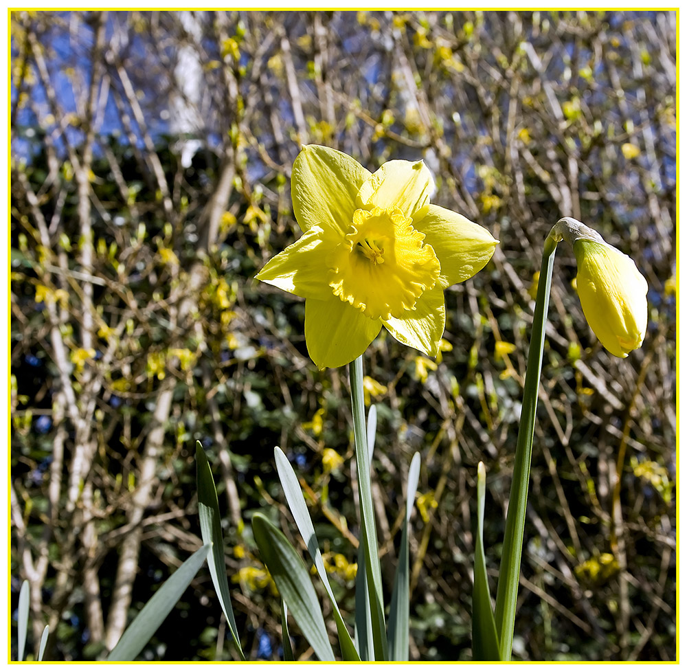 Frohe Ostern Euch allen!!