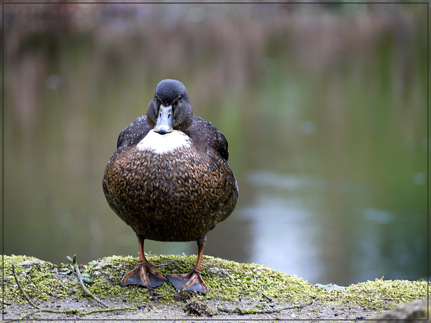 Frohe Ostern