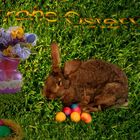 Frohe Ostern....