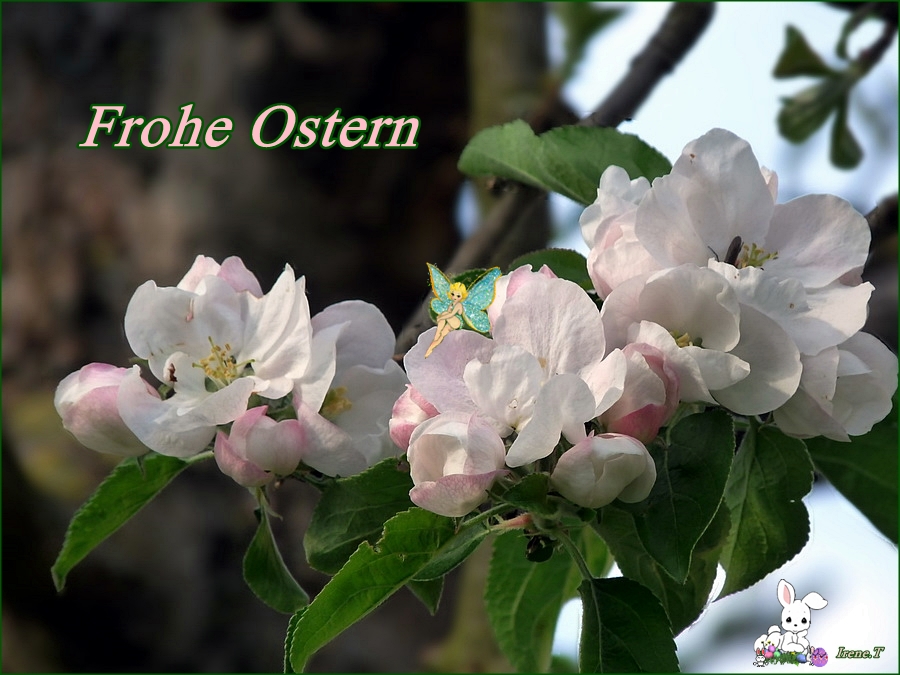 Frohe Ostern