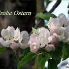 Frohe Ostern