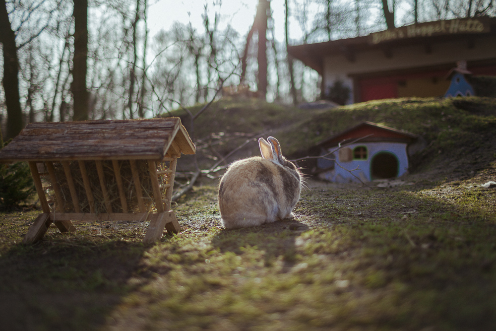 Frohe Ostern