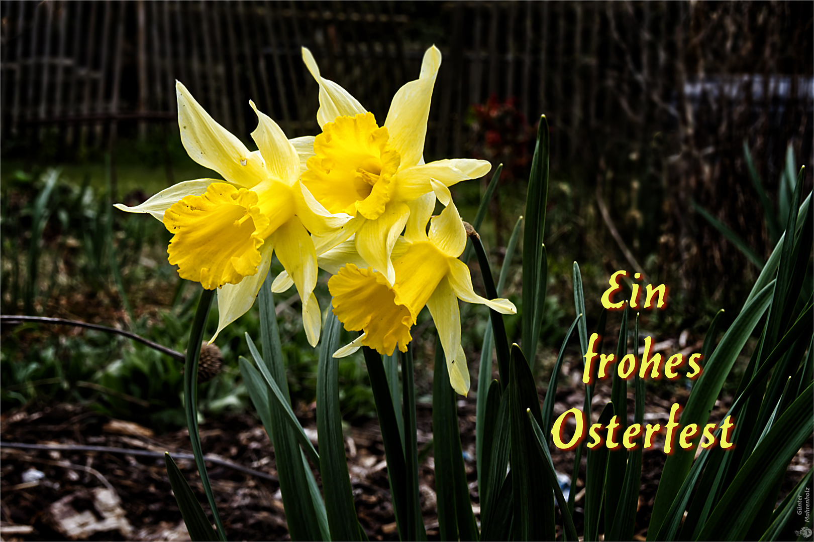 Frohe Ostern