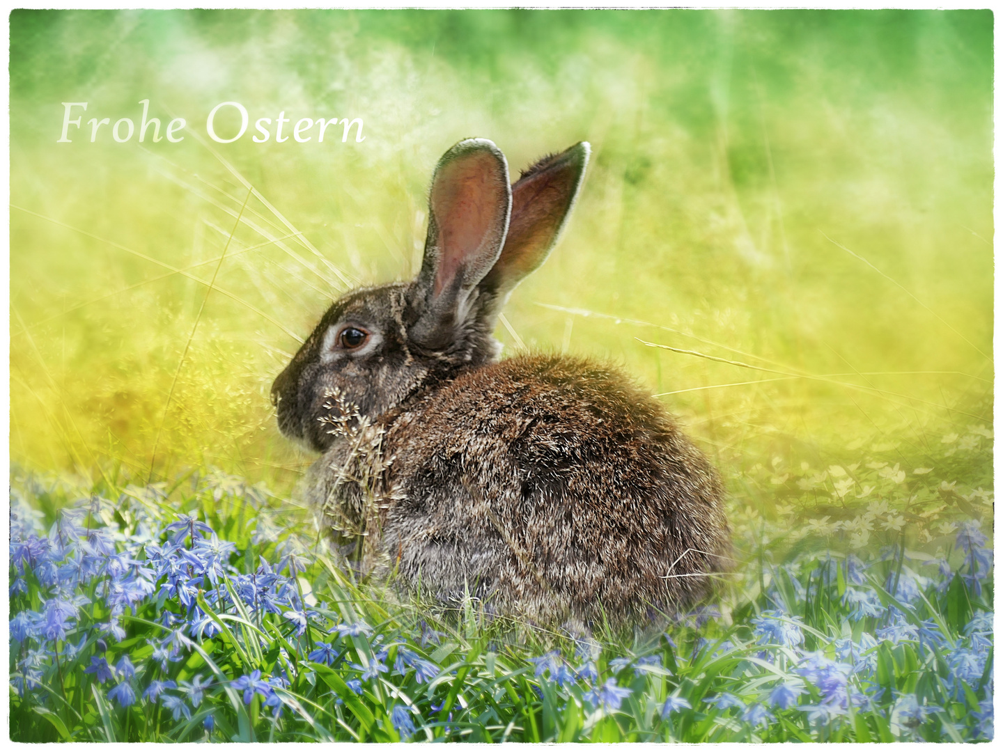 Frohe Ostern...