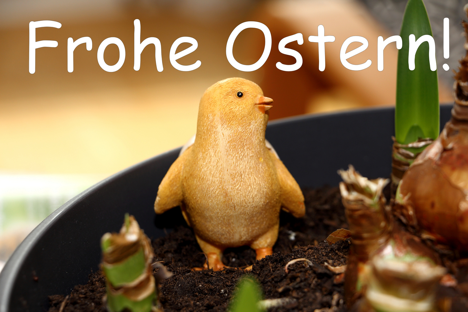 Frohe Ostern!