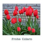 °° Frohe Ostern °°