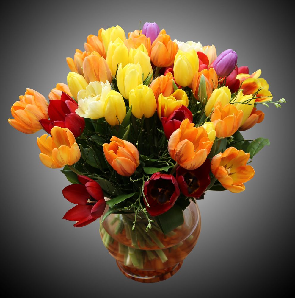 Frohe Ostern Foto & Bild | jahreszeiten, frühling, blumenstrauß Bilder