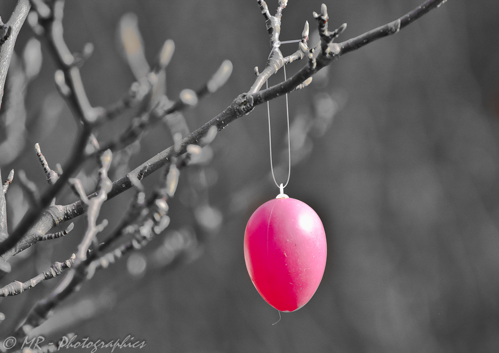 Frohe Ostern