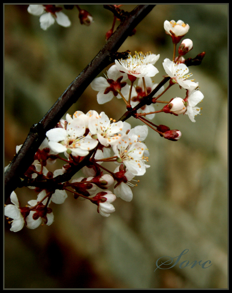 . Frohe Ostern .