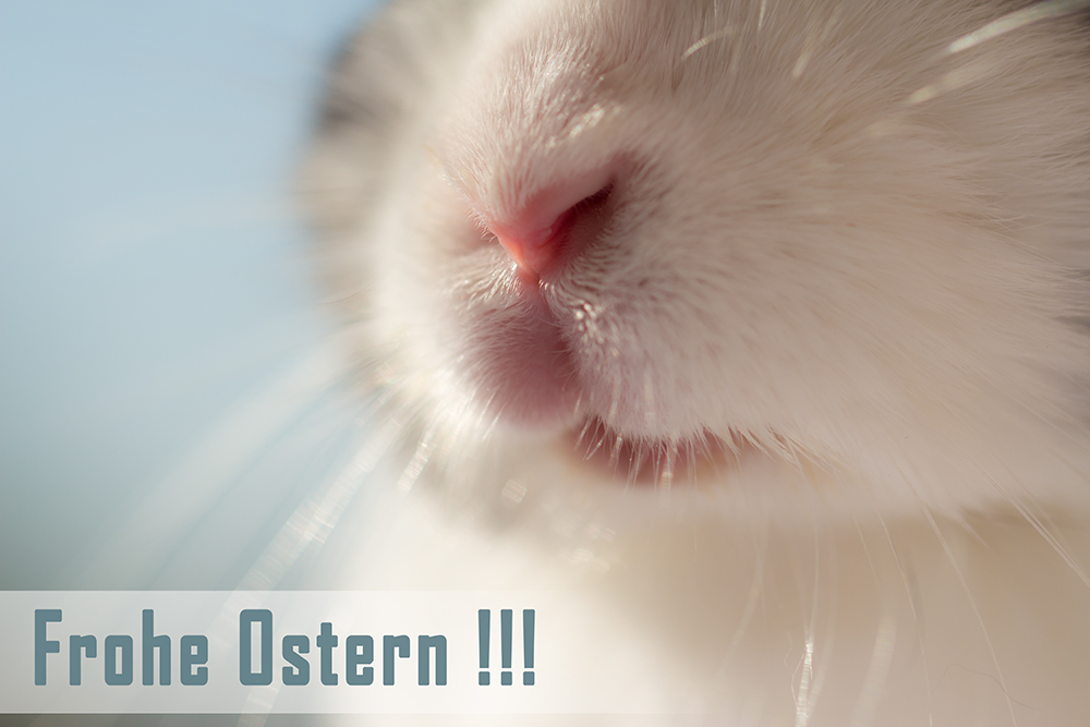 FROHE OSTERN