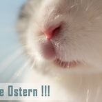 FROHE OSTERN