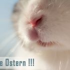 FROHE OSTERN