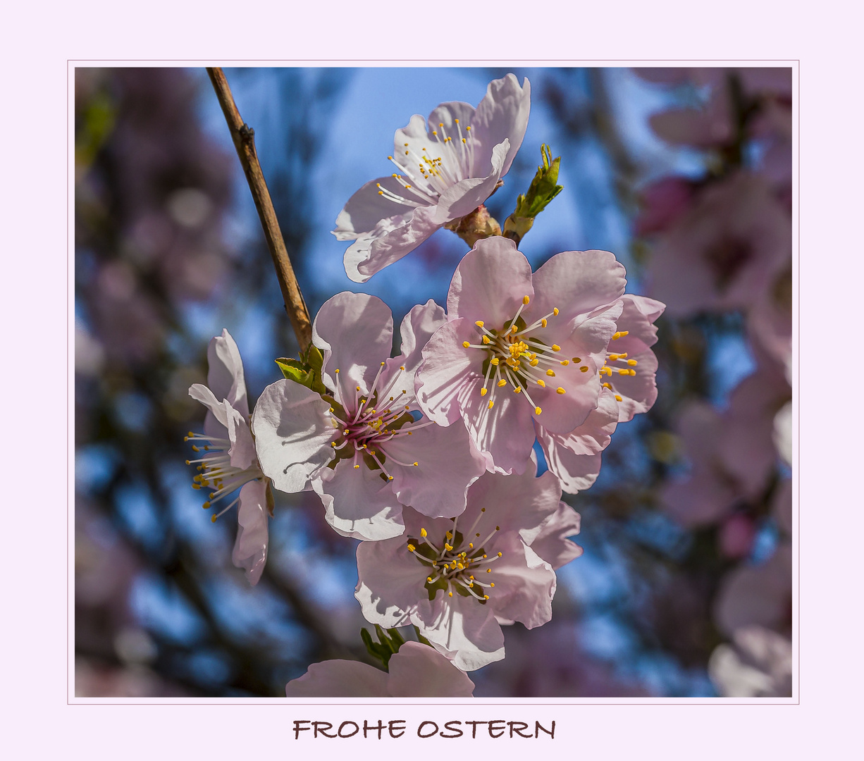 FROHE OSTERN