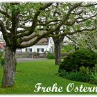 Frohe Ostern...