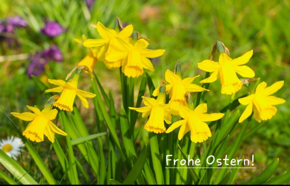 Frohe Ostern!