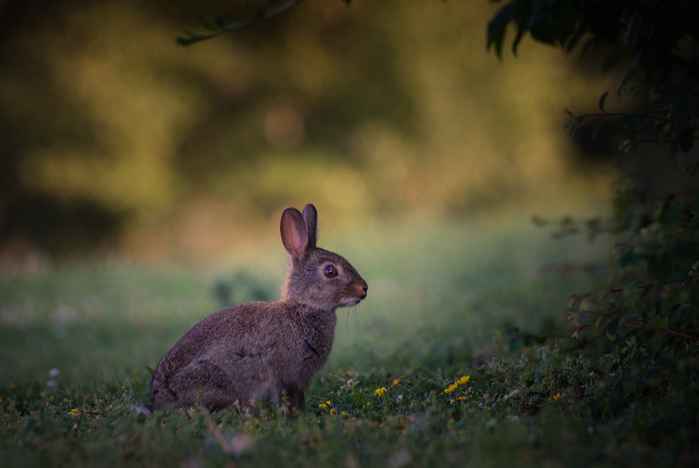 Frohe Ostern