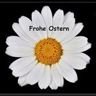 Frohe Ostern...