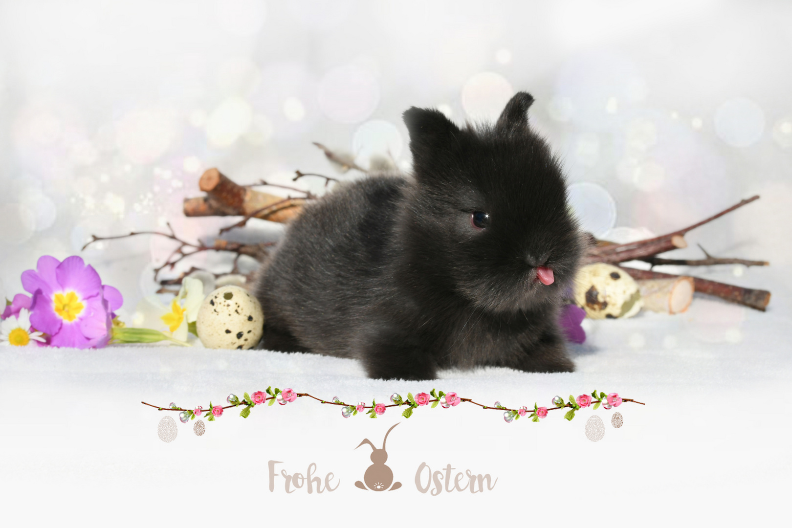 Frohe Ostern