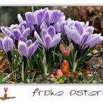 frohe Ostern für euch alle