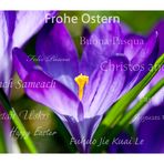 Frohe Ostern - Happy Easter - Buona Pasqua - Feliz Pascua - Joyeuses Pâques