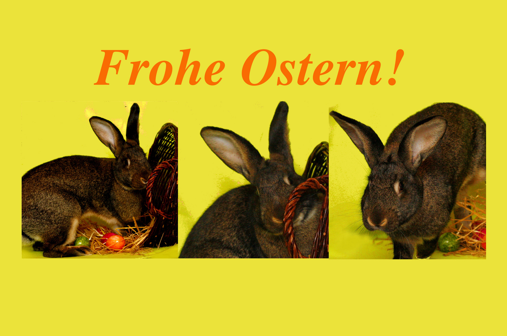 Frohe Ostern II