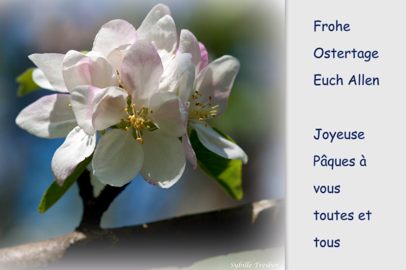 Frohe Ostern - Joyeuse Pâques