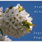 Frohe Ostern - Joyeuses Pâques