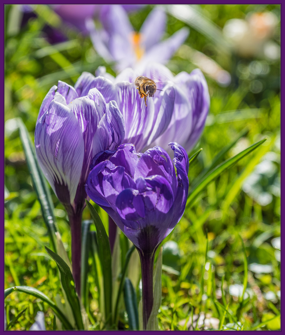 Frohe Ostern liebe Fotofreunde