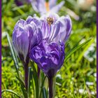 Frohe Ostern liebe Fotofreunde