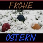 Frohe Ostern oder erleichterte Hasenspurensuche