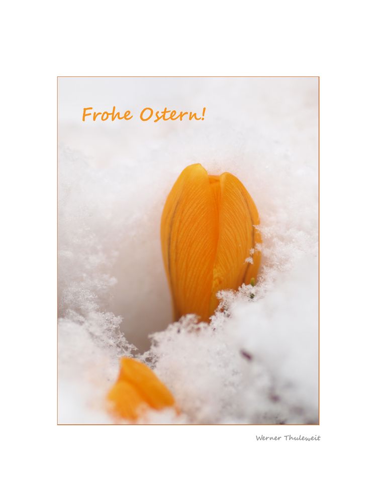 Frohe Ostern - trotz alledem..