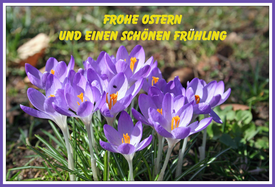 Frohe Ostern und einen schönen Frühling