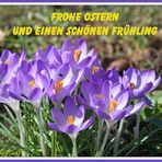 Frohe Ostern und einen schönen Frühling