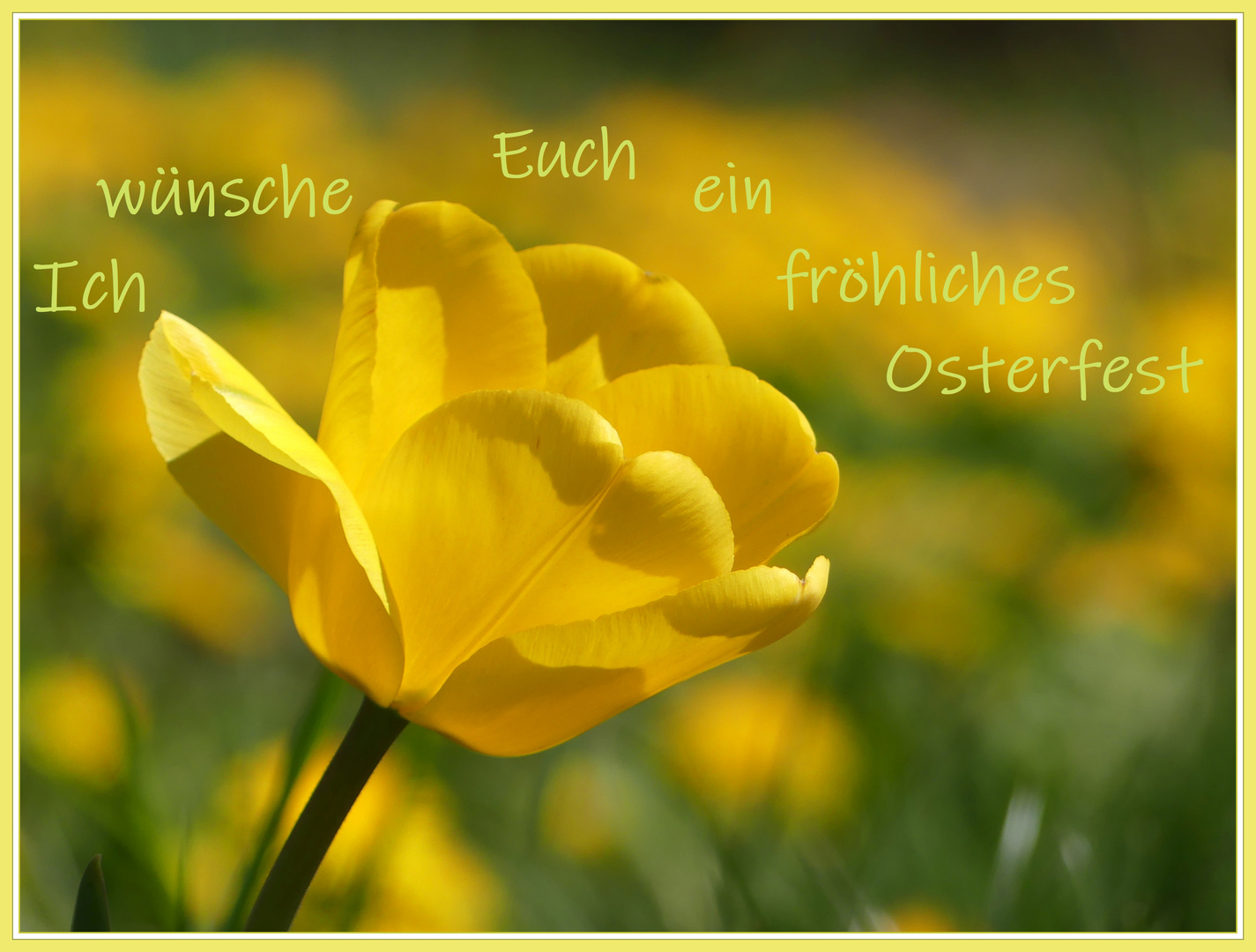 Frohe Ostern und schöne Tage zum Entspannen