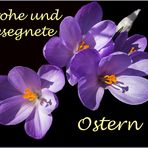 Frohe Ostern wünsch ich Euch...