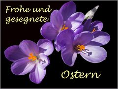 Frohe Ostern wünsch ich Euch...