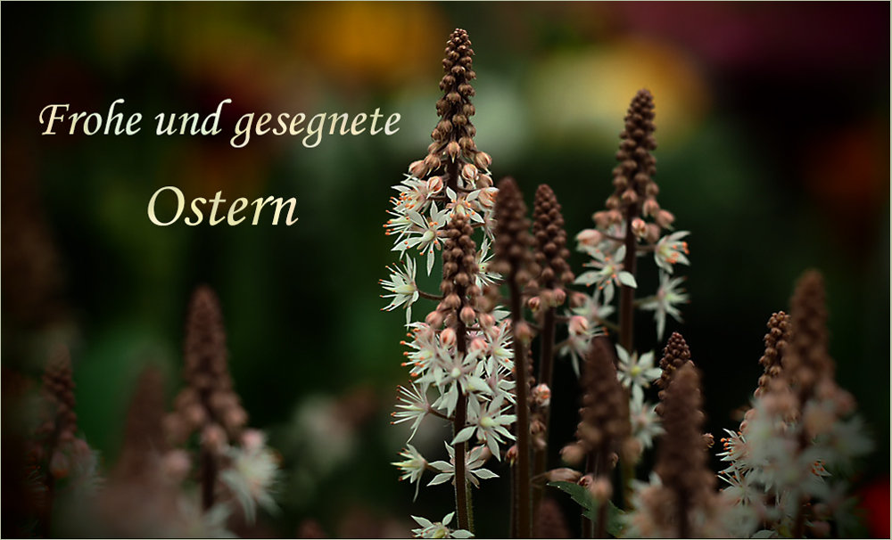 Frohe Ostern wünsche ich Euch allen Foto & Bild | karten und kalender ...