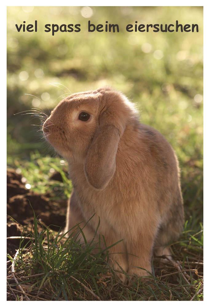 frohe ostern zusammen