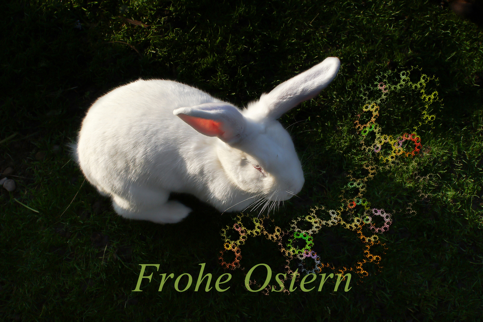 Frohe Ostertage