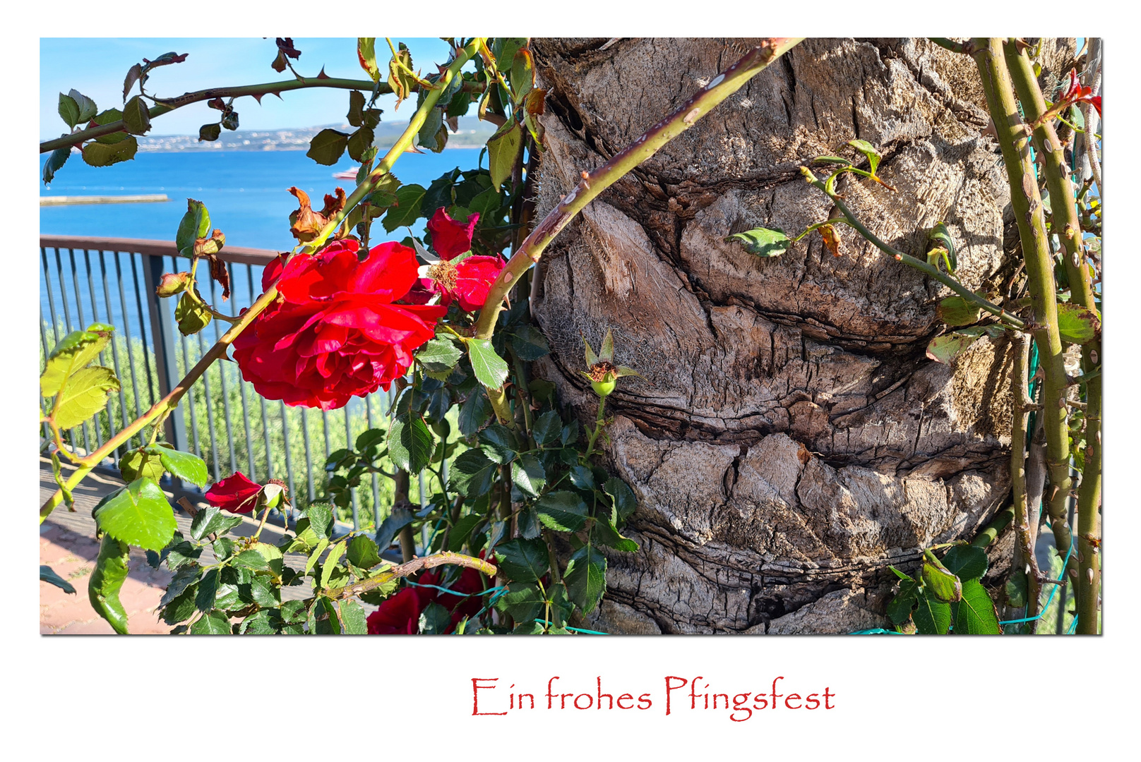 Frohe Pfingsten