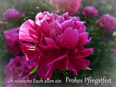 Frohe Pfingsten