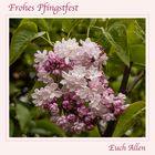 FROHE PFINGSTEN