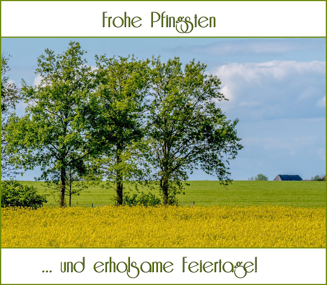 Frohe Pfingsten ...