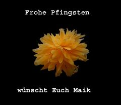 Frohe Pfingsten