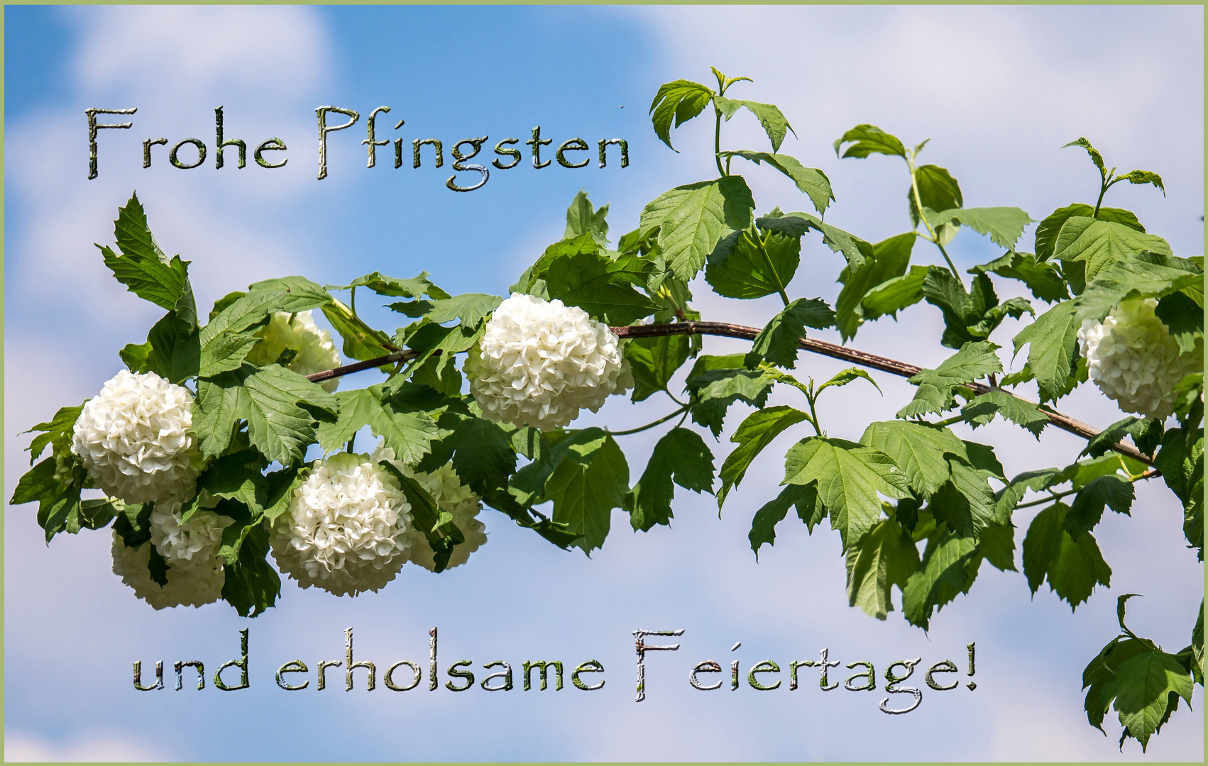 Frohe Pfingsten!