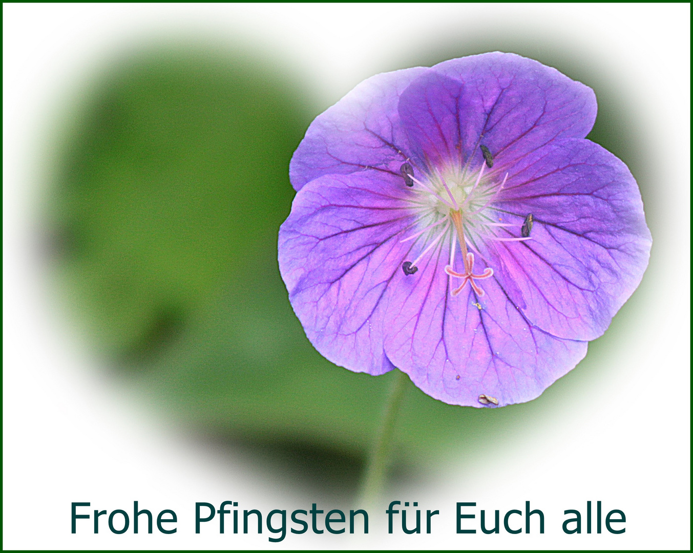 Frohe Pfingsten