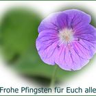 Frohe Pfingsten