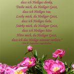 Frohe Pfingsten / Spruchkarte mit Gebet 2