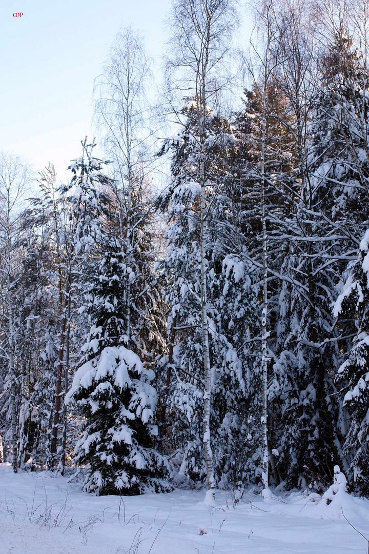 Frohe und besinnliche Weihnachten 2010