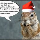 Frohe und besinnliche Weihnachten !